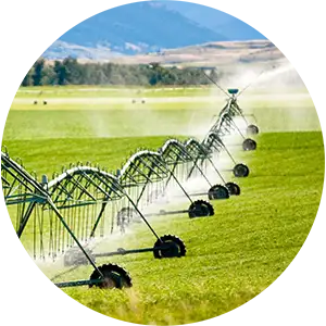 Irrigation app