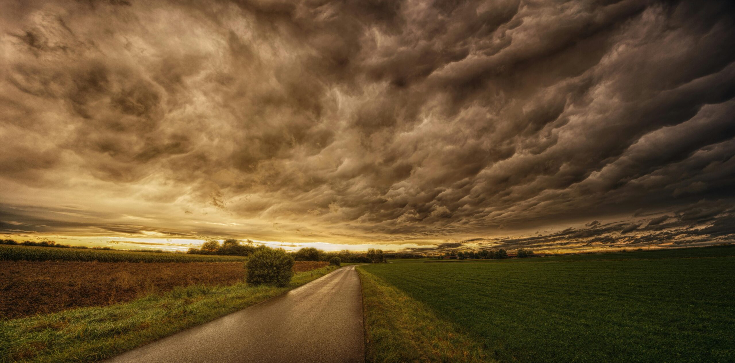 a road leading to a field